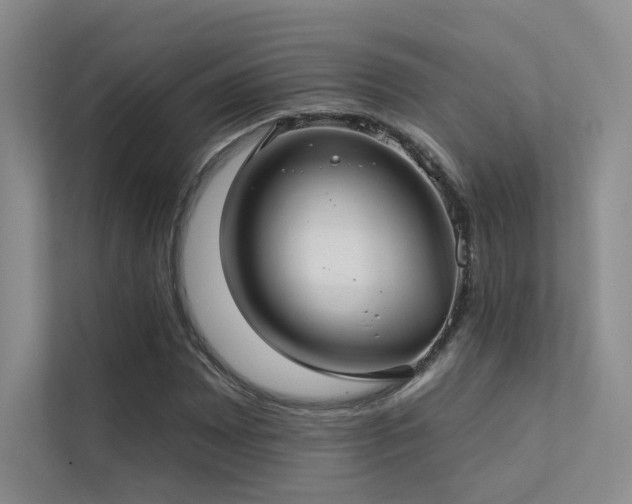 X0000113201065200909101107