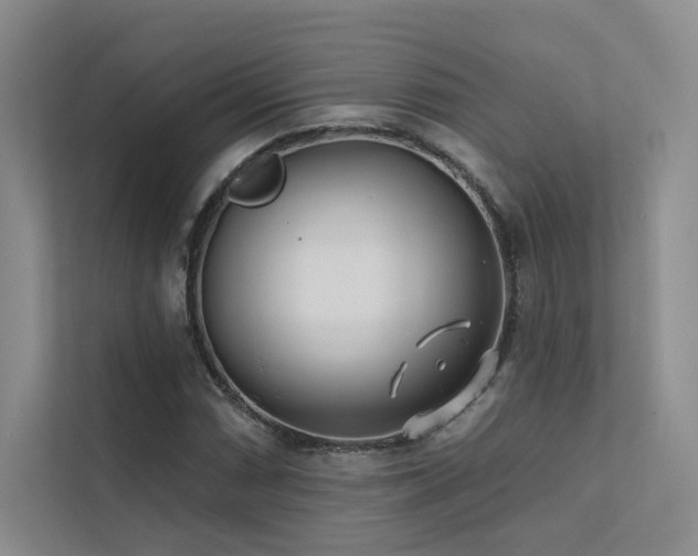 X0000113201066200909101107