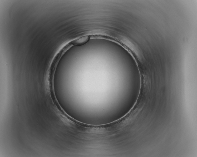 X0000113201068200909101107