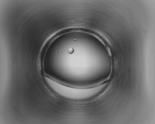 X0000113201069200909101107