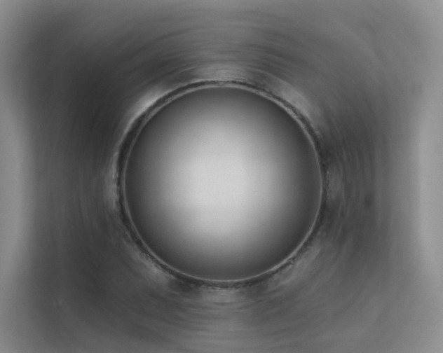 X0000113201071200909101107