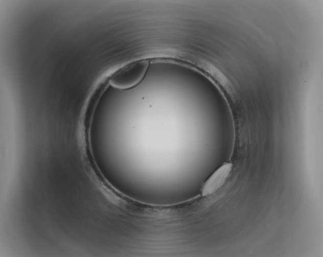 X0000113201072200909101107