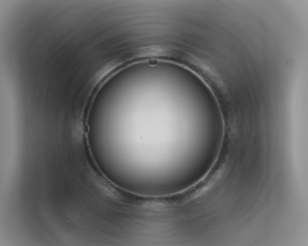 X0000113201073200909101107