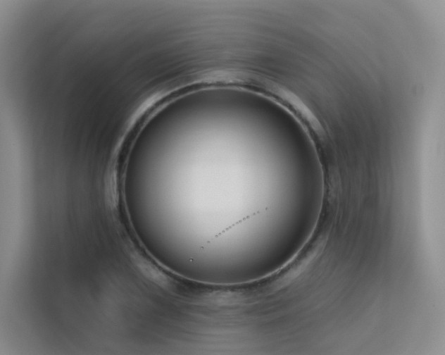 X0000113201075200909101107