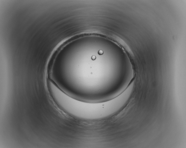 X0000113201076200909101107