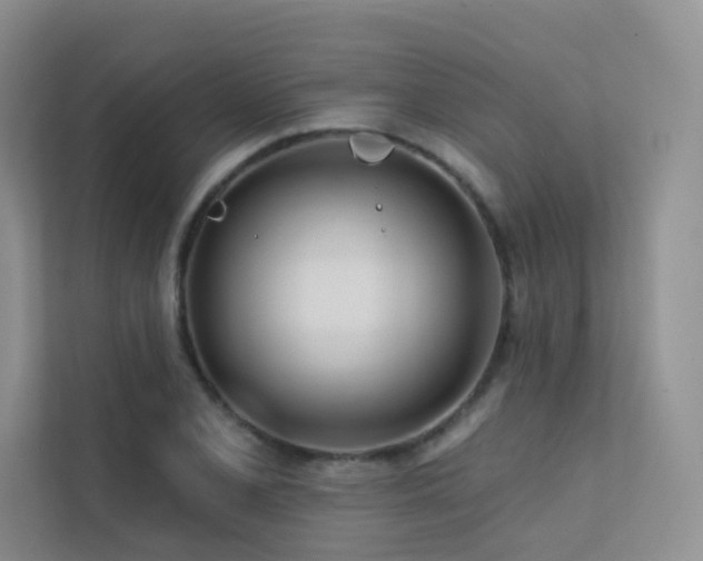 X0000113201077200909101107