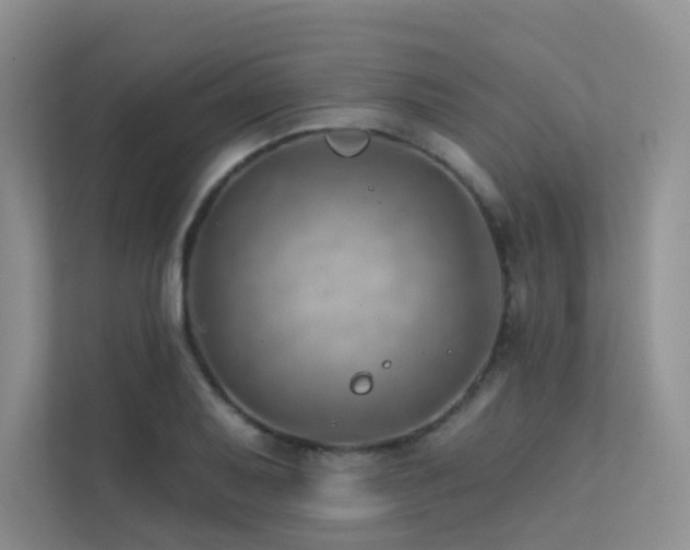 X0000113201079200909101107