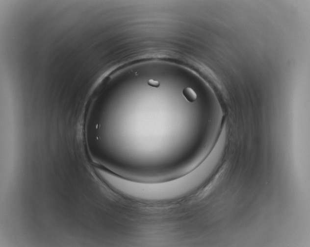 X0000113201081200909101107