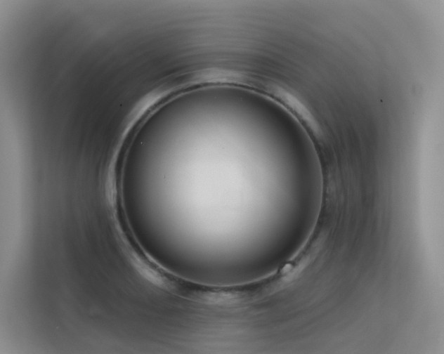 X0000113201082200909101107