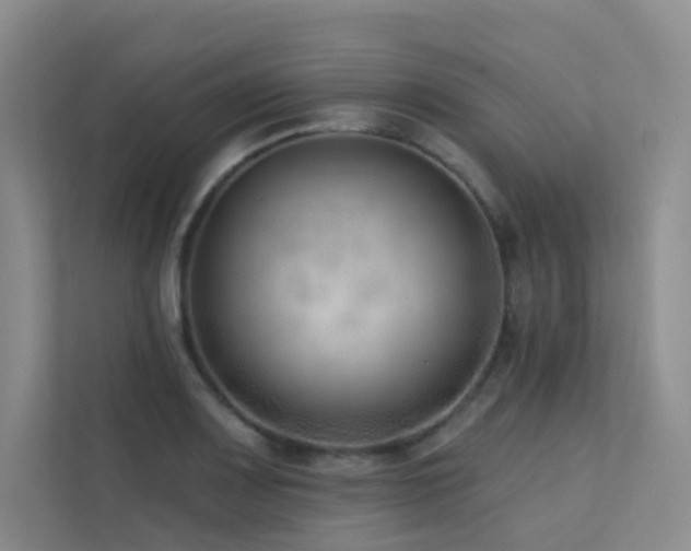 X0000113201083200909101107