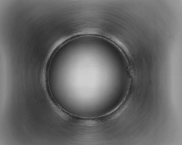 X0000113201085200909101107