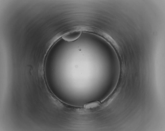 X0000113201089200909101107