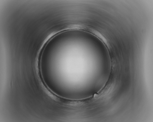 X0000113201091200909101107