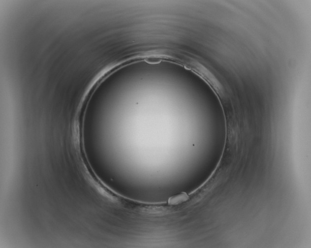 X0000113201092200909101107