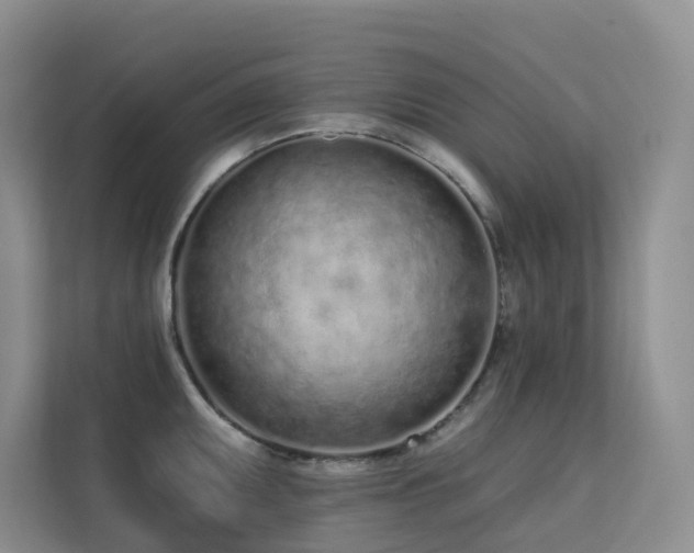 X0000113201095200909101107