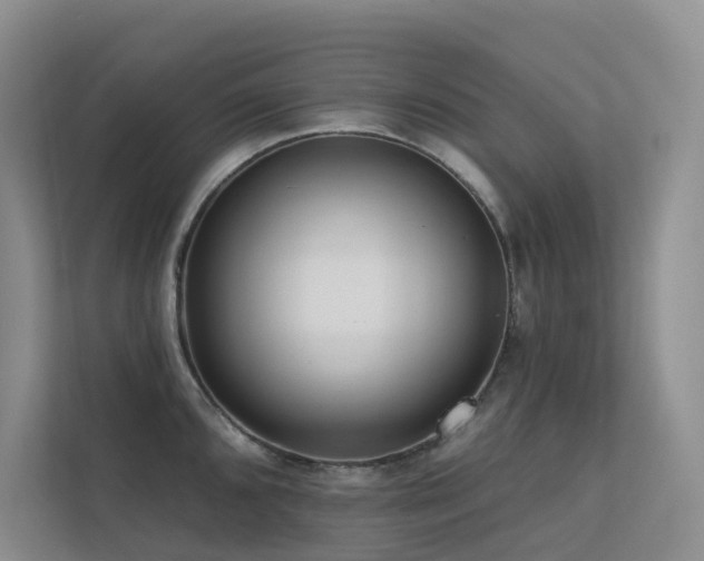 X0000113201096200909101107