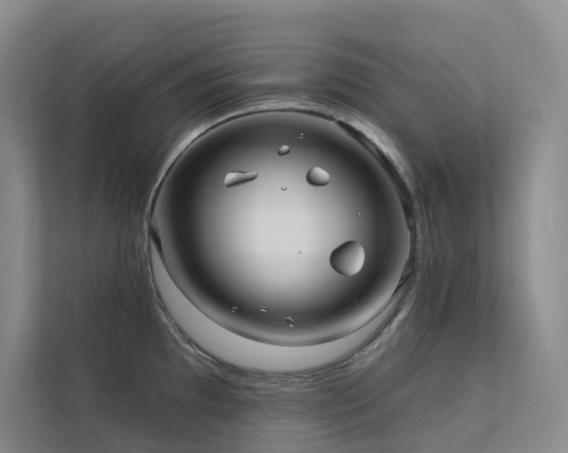 X0000113201097200909101107