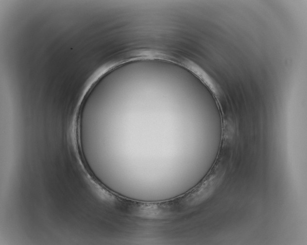 X0000113201098200909101107