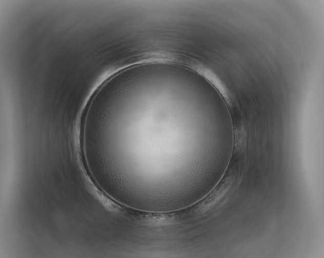 X0000113201099200909101107