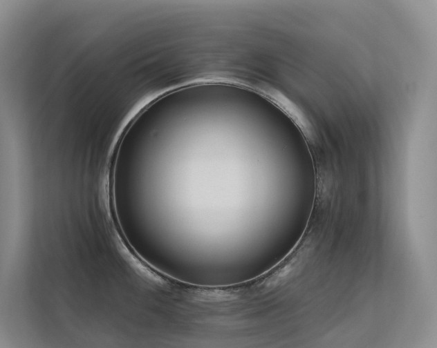 X0000113201100200909101107