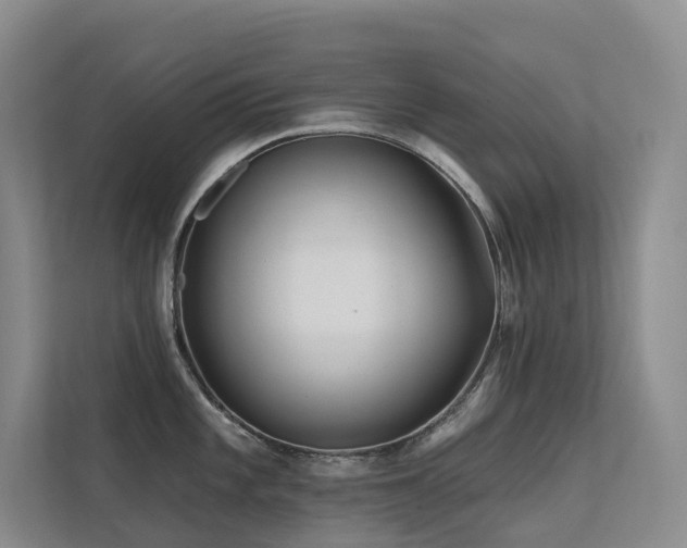 X0000113201101200909101107