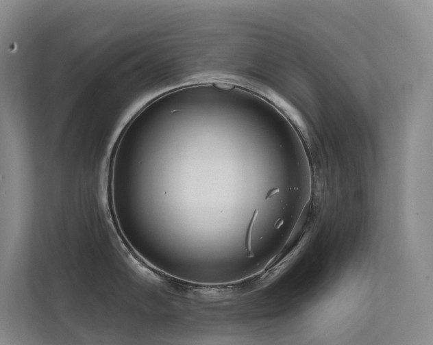 X0000113201102200909101107