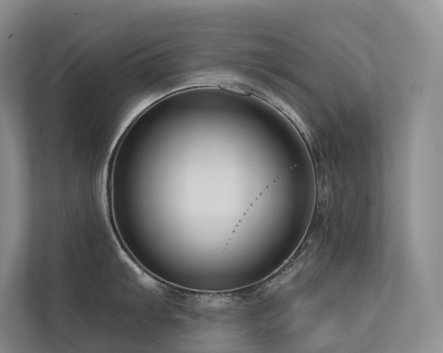 X0000113201103200909101107