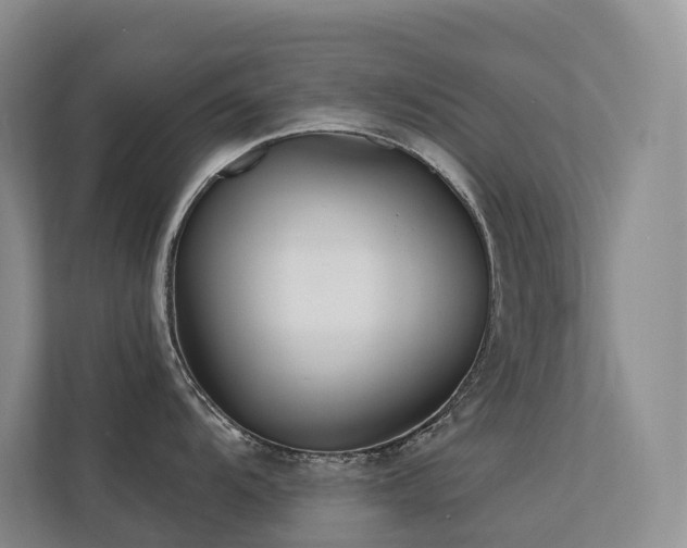 X0000113201104200909101107