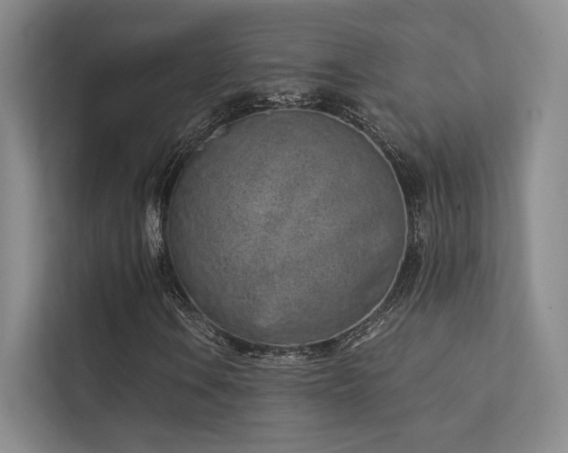 X0000113201106200909101106