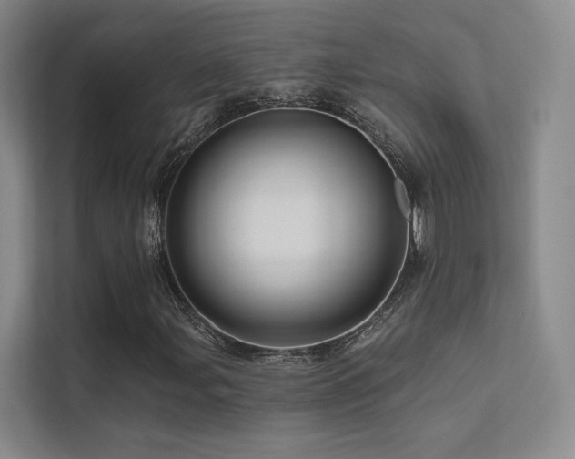 X0000113201107200909101106