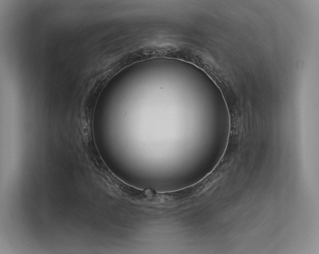 X0000113201109200909101106