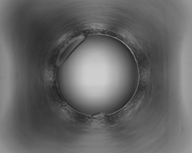 X0000113201110200909101106