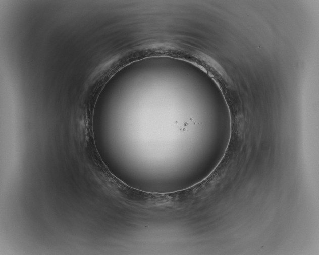 X0000113201111200909101106