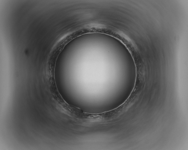 X0000113201112200909101106