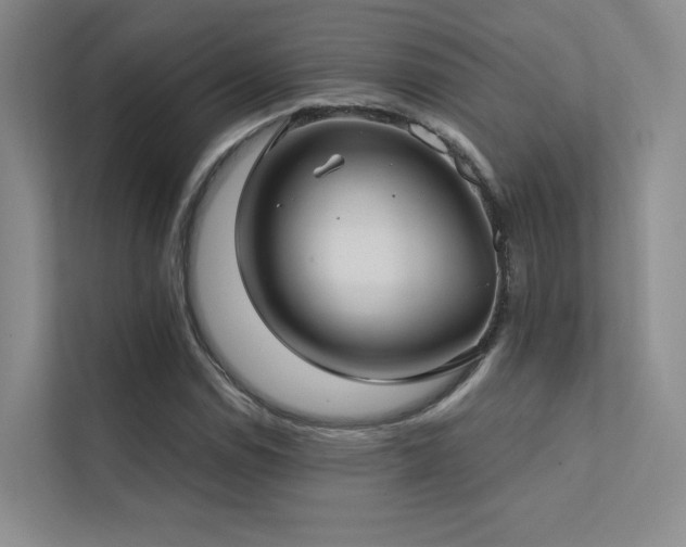 X0000113201114200909101106