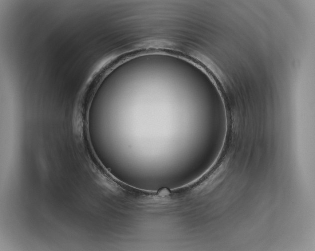 X0000113201115200909101106