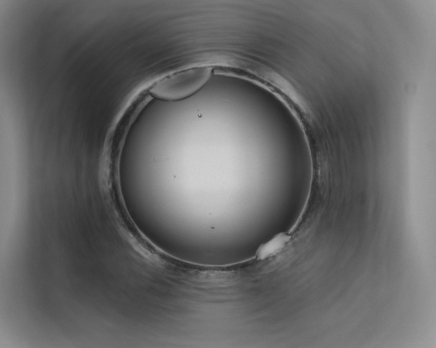 X0000113201116200909101106