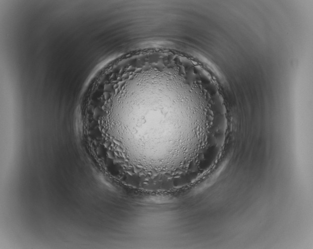 X0000113201117200909101106