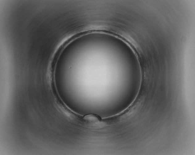 X0000113201119200909101106