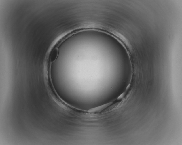 X0000113201120200909101106