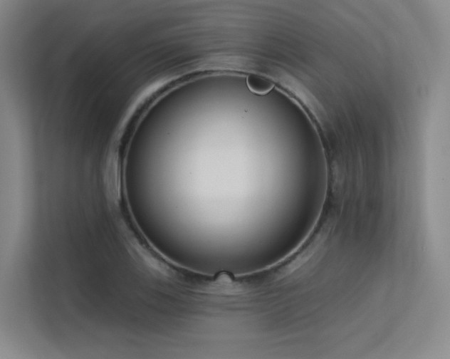 X0000113201123200909101106