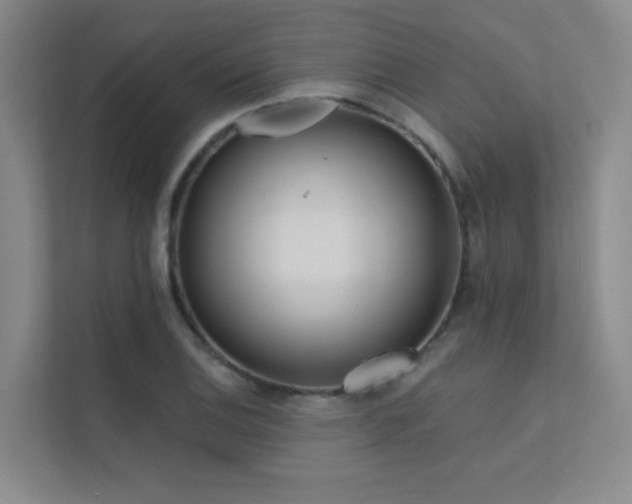 X0000113201124200909101106