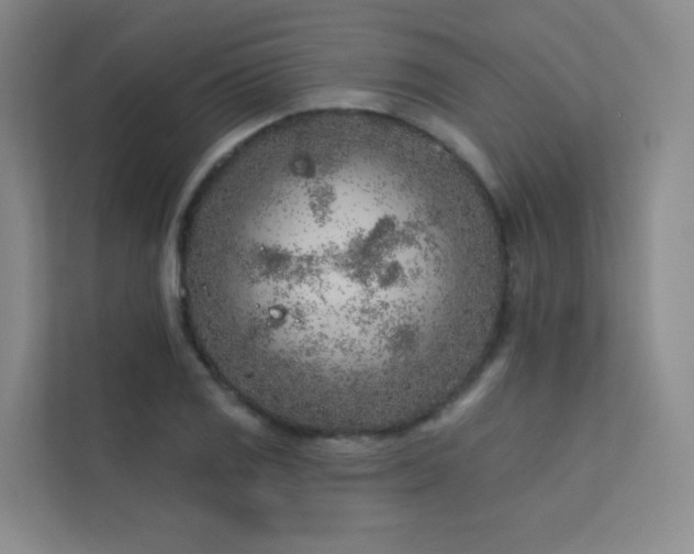 X0000113201125200909101106