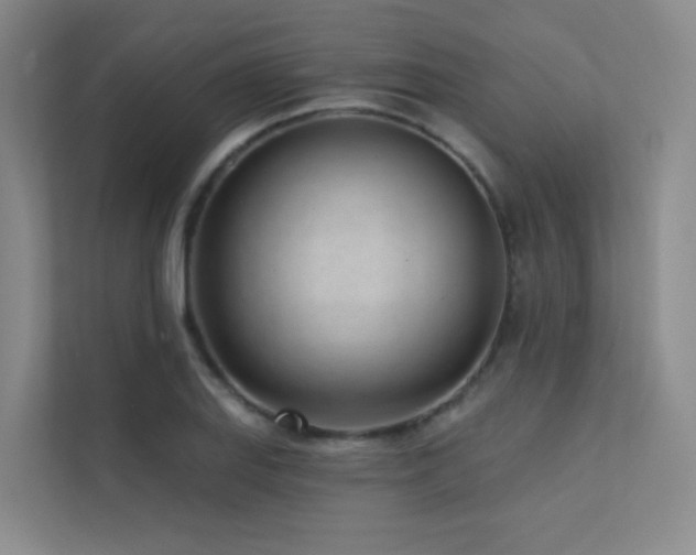 X0000113201127200909101106