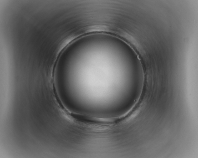 X0000113201129200909101106