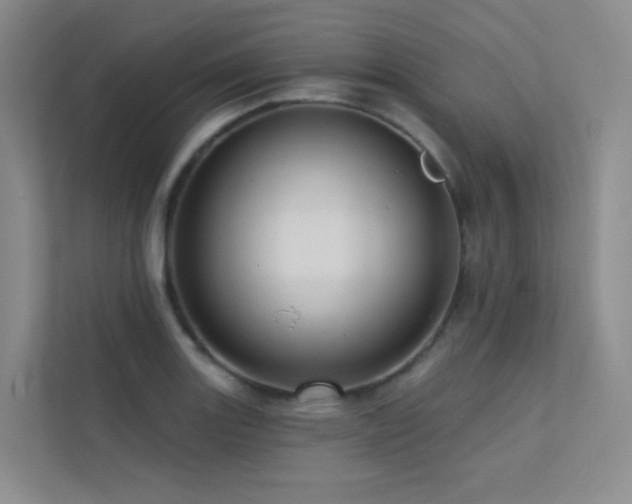 X0000113201131200909101106