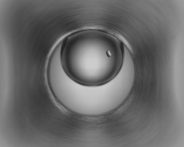 X0000113201132200909101106