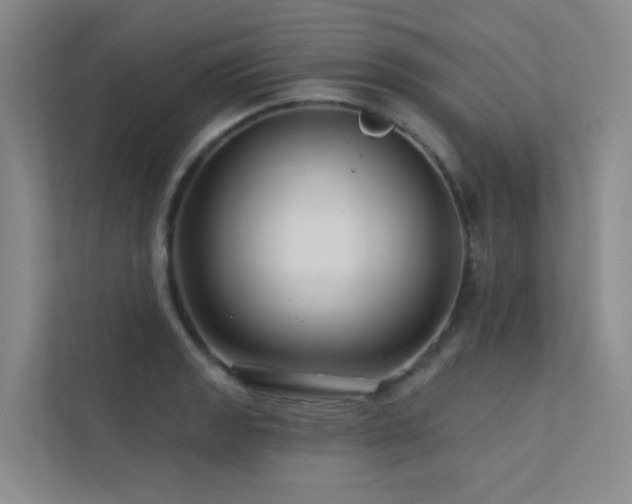 X0000113201133200909101106