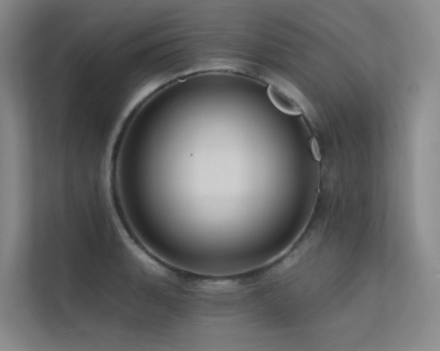 X0000113201135200909101106