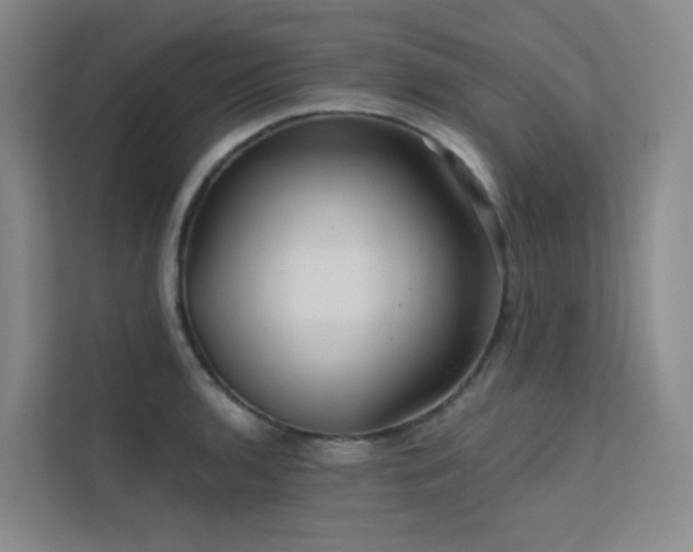 X0000113201136200909101106